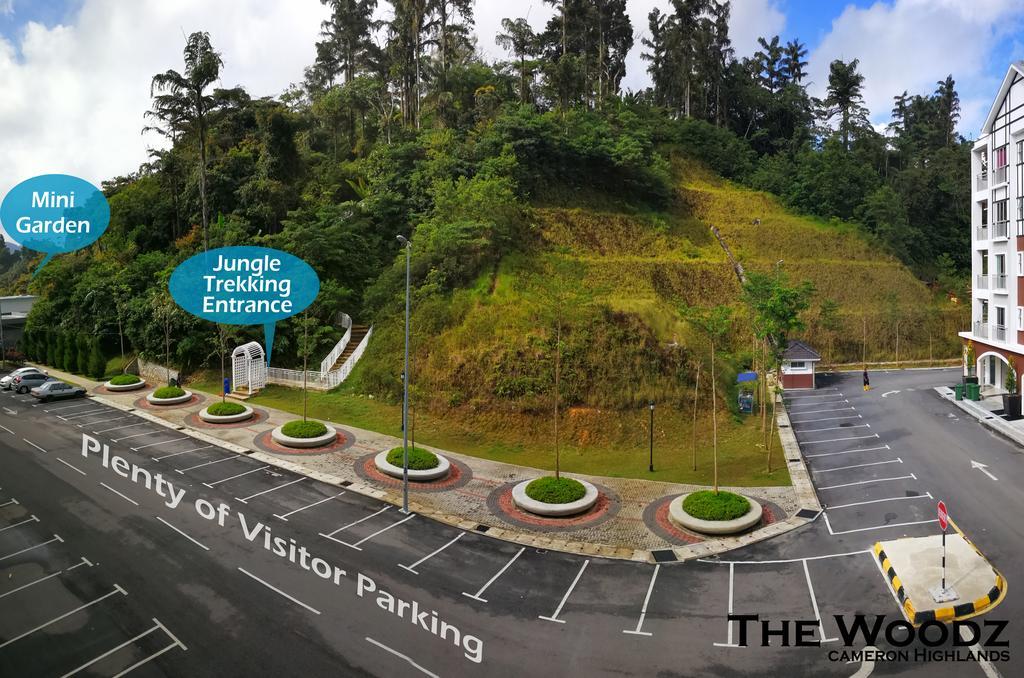 The Woodz Homestay - 3 Bedroom مرتفعات كاميرون الغرفة الصورة